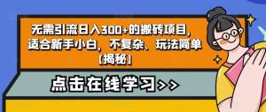 无需引流日入300+的搬砖项目,适合新手小白,不复杂、玩法简单【揭秘】-宁率网络知识库