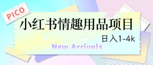 最新小红书情趣用品项目，日入1-4k-宁率网络知识库