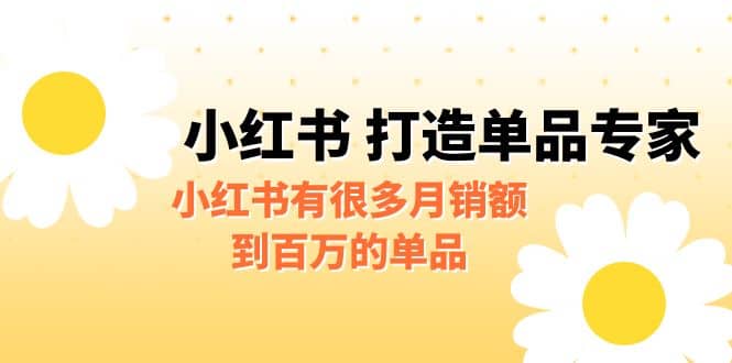 某公众号付费文章《小红书 打造单品专家》小红书有很多月销额到百万的单品-宁率网络知识库