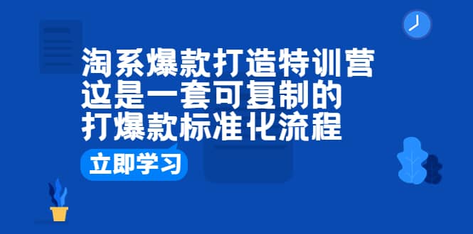 淘系爆款打造特训营：这是一套可复制的打爆款标准化流程-宁率网络知识库
