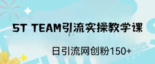 ST TEAM引流实操课，日引流网创粉100+-宁率网络知识库