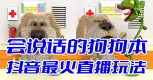 抖音无人直播玩法会说话的狗狗本弹幕礼物互动小游戏（游戏软件+开播教程）-宁率网络知识库
