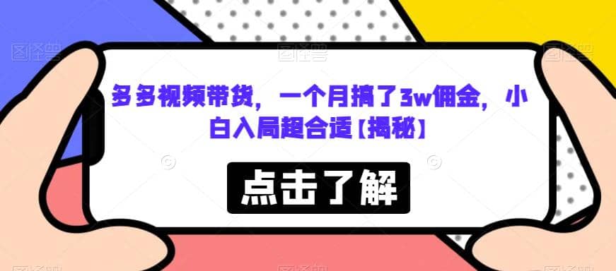 多多视频带货，一个月搞了3w佣金，小白入局超合适【揭秘】-宁率网络知识库