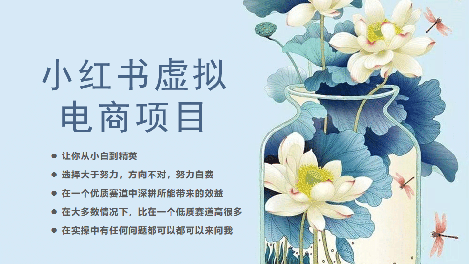 小红书虚拟电商从0到1，让你从小白到精英（20节实操课程）-宁率网络知识库