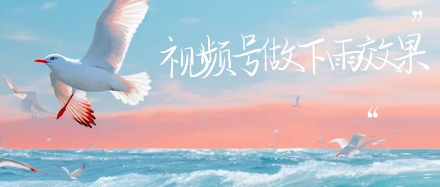 视频号做下雨视频一个账号一周涨粉10W+年入100w-宁率网络知识库