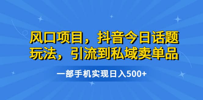 风口项目，抖音今日话题玩法，引流到私域卖单品，一部手机实现日入500+-宁率网络知识库