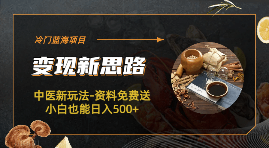 冷门蓝海项目-中医新玩法-冷门蓝海项目-中医新玩法-资料免费送小白也能日入500+500+-宁率网络知识库