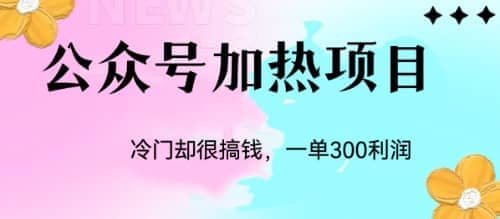 冷门公众号加热项目，一单利润300+-宁率网络知识库