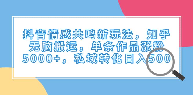 抖音情感共鸣新玩法，知乎无脑搬运，单条作品涨粉5000+，私域转化日入500-宁率网络知识库
