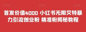 首发价值4000 小红书无限艾特暴力引流创业粉 精准粉揭秘教程-宁率网络知识库