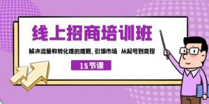 线上·招商培训班，解决流量和转化难的难题 引爆市场 从起号到变现（15节）-宁率网络知识库