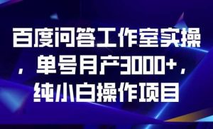 百度问答工作室实操，单号月产3000+，纯小白操作项目【揭秘】-宁率网络知识库