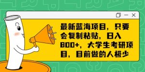 最新蓝海项目,只要会复制粘贴,日入800+,大学生考研项目,目前做的人极少-宁率网络知识库