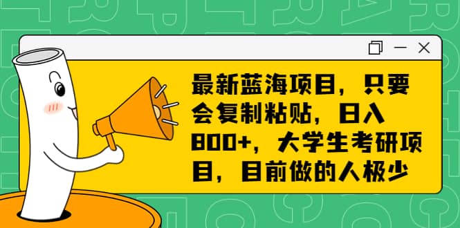 最新蓝海项目，只要会复制粘贴，日入800+，大学生考研项目，目前做的人极少-宁率网络知识库
