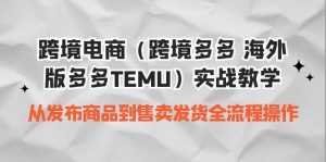 跨境电商(跨境多多 海外版多多TEMU)实操教学 从发布商品到售卖发货全流程-宁率网络知识库