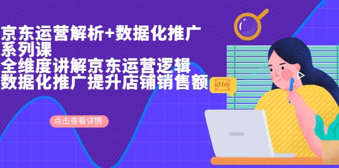 京东运营解析与数据化推广系列课，全维度讲解京东运营逻辑+数据化推广提升店铺销售额-宁率网络知识库