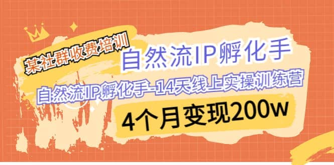 某社群收费培训：自然流IP 孵化手-14天线上实操训练营 4个月变现200w-宁率网络知识库