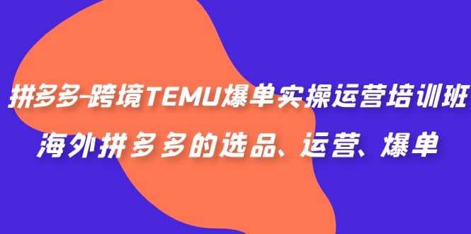 拼多多-跨境TEMU爆单实操运营培训班，海外拼多多的选品、运营、爆单-宁率网络知识库
