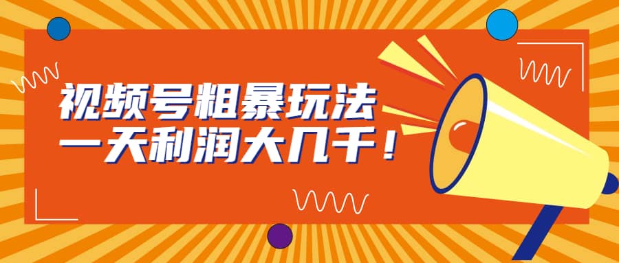 视频号粗暴玩法，一天利润大几千-宁率网络知识库