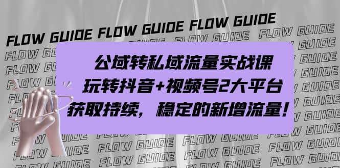 公域转私域流量实战课，玩转抖音+视频号2大平台，获取持续，稳定的新增流量-宁率网络知识库