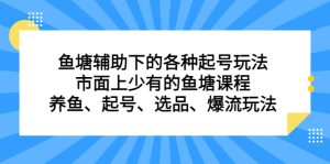 鱼塘辅助下的各种起号玩法，市面上少有的鱼塘课程，养鱼、起号、选品、爆流玩法-宁率网络知识库