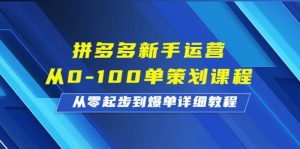拼多多新手运营从0-100单策划课程，从零起步到爆单详细教程-宁率网络知识库