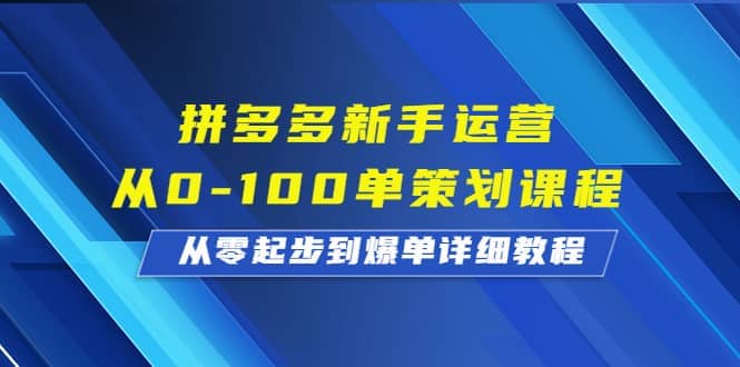 拼多多新手运营从0-100单策划课程，从零起步到爆单详细教程-宁率网络知识库