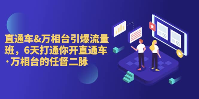 直通车+万相台引爆流量班，6天打通你开直通车·万相台的任督 二脉-宁率网络知识库