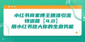 小红书商家 博主精准引流特训营【4.0】用小红书放大你的生意势能-宁率网络知识库
