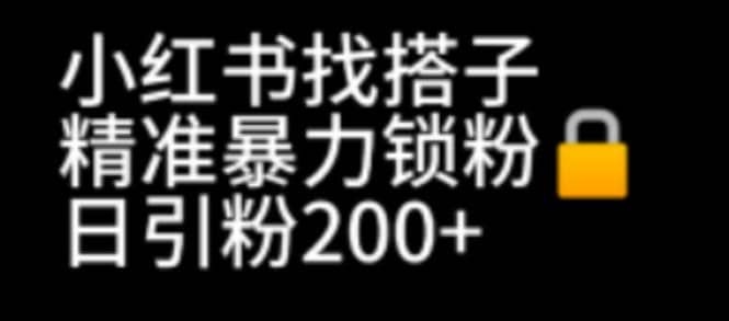 小红书找搭子暴力精准锁粉+引流日引200+精准粉-宁率网络知识库