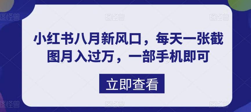 八月新风口，小红书虚拟项目一天收入1000+，实战揭秘-宁率网络知识库