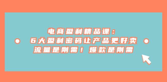 电商 盈利精品课：6大盈利 密码让产品更好卖，流量是刚需！爆款是刚需-宁率网络知识库