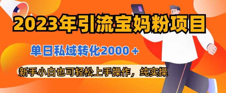 2023年引流宝妈粉项目，单日私域转化2000＋，新手小白也可轻松上手操作，纯实操-宁率网络知识库