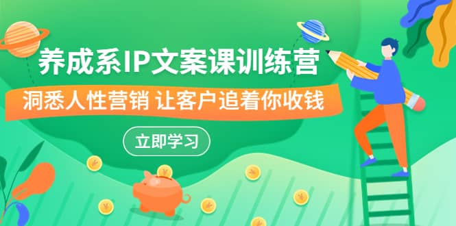 养成系-IP文案课训练营，文案心法的天花板 洞悉人性营销 让客户追着你收钱-宁率网络知识库