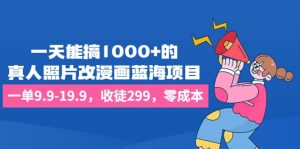 一天能搞1000+的，真人照片改漫画蓝海项目，一单9.9-19.9，收徒299，零成本-宁率网络知识库