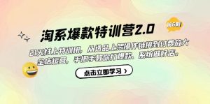 淘系爆款特训营2.0【第六期】从选品上架到付费放大 全店运营 打爆款 做好店-宁率网络知识库