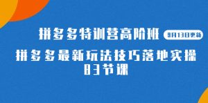 2023拼多多·特训营高阶班【9月13日更新】拼多多最新玩法技巧落地实操-83节-宁率网络知识库