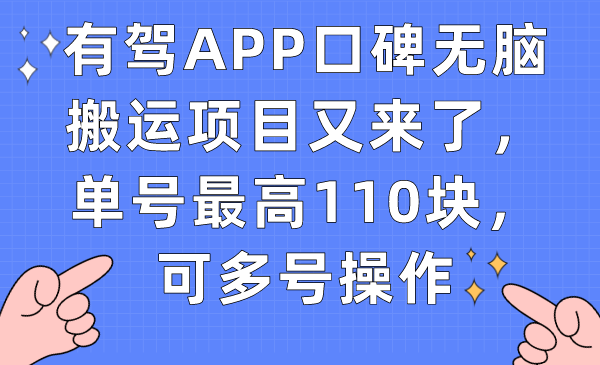 有驾APP口碑无脑搬运项目又来了，单号最高110块，可多号操作-宁率网络知识库