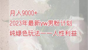 月入9000+2023年9月最新yw男粉计划绿色玩法——人性之利益-宁率网络知识库