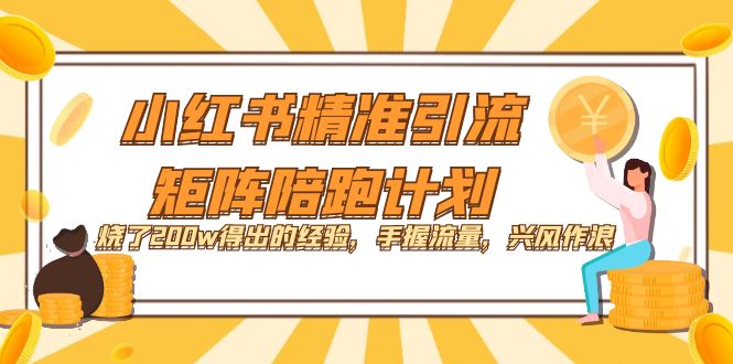 小红书精准引流·矩阵陪跑计划：烧了200w得出的经验，手握流量，兴风作浪！-宁率网络知识库