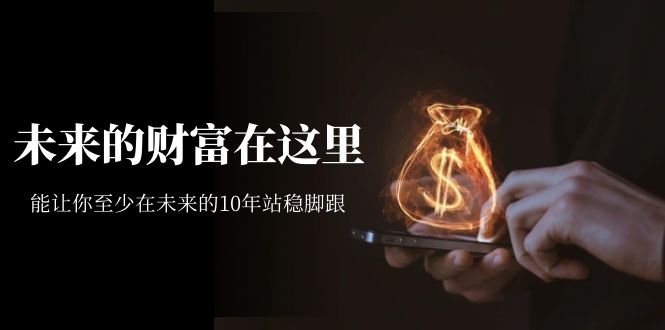 某收费文章《未来的财富在这里》能让你至少在未来的10年站稳脚跟-宁率网络知识库
