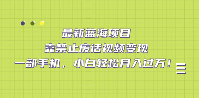 最新蓝海项目，靠禁止废话视频变现，一部手机，小白轻松月入过万！-宁率网络知识库