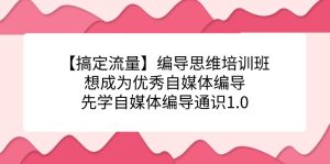 【搞定流量】编导思维培训班,想成为优秀自媒体编导先学自媒体编导通识1.0-宁率网络知识库