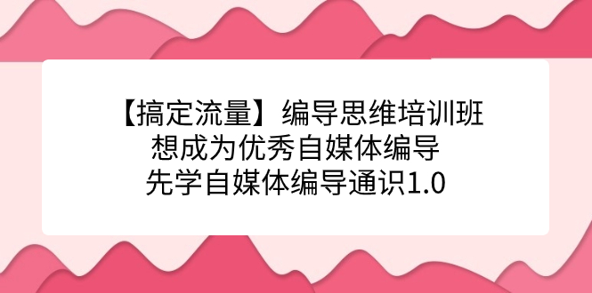 【搞定流量】编导思维培训班，想成为优秀自媒体编导先学自媒体编导通识1.0-宁率网络知识库