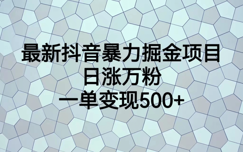 最火热的抖音暴力掘金项目，日涨万粉，多种变现方式，一单变现可达500+-宁率网络知识库