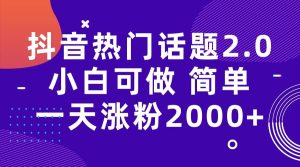 抖音热门话题玩法2.0，一天涨粉2000+（附软件+素材）-宁率网络知识库