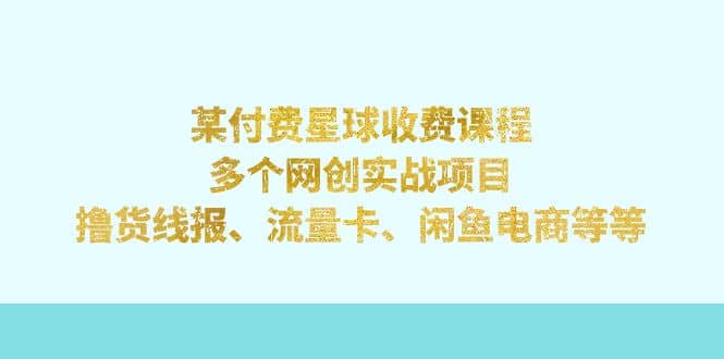 某付费星球课程：多个网创实战项目，撸货线报、流量卡、闲鱼电商等等-宁率网络知识库