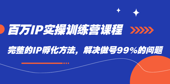 百万IP实战训练营课程，完整的IP孵化方法，解决做号99%的问题-宁率网络知识库