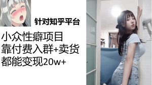 知乎小众性癖项目，Lsp的钱才是最好赚的，付费建群+卖货变现20w-宁率网络知识库