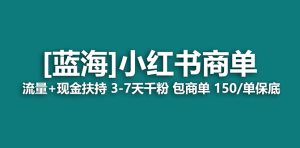 【蓝海项目】小红书商单项目，7天就能接广告变现，稳定一天500+保姆级玩法-宁率网络知识库
